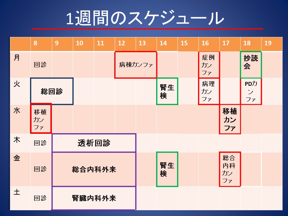 1週間のスケジュール